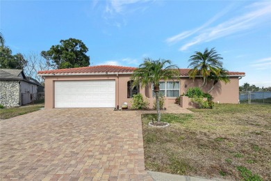 Lake Home For Sale in Port Richey, Florida