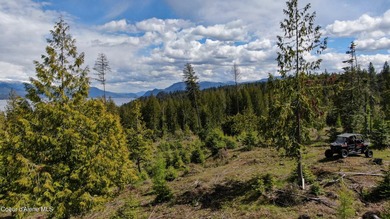 Estate Lot 8 is a large 18.19-acre parcel that has breathtaking - photo 11