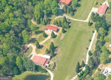 Your Private Fly-in Mountain Sanctuary in Rabun County Nestled - photo 11