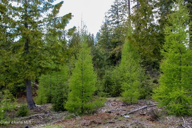 Estate Lot 8 is a large 18.19-acre parcel that has breathtaking - photo 12