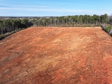 Prime Real Estate Opportunity! 14.96 Acres on Hwy 246 North - photo 2