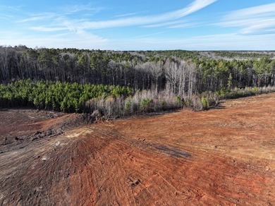 Prime Real Estate Opportunity! 14.96 Acres on Hwy 246 North - photo 3