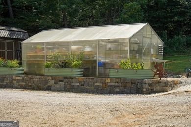 Your Private Fly-in Mountain Sanctuary in Rabun County Nestled - photo 14