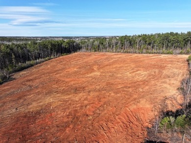 Prime Real Estate Opportunity! 14.96 Acres on Hwy 246 North - photo 4