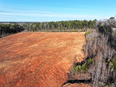 Prime Real Estate Opportunity! 14.96 Acres on Hwy 246 North - photo 5