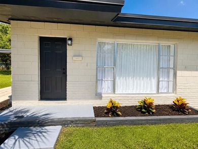 DOUBLE LOT! Stunning fully renovated home on a rare double lot - photo 5