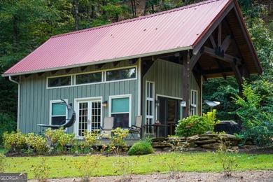 Your Private Fly-in Mountain Sanctuary in Rabun County Nestled - photo 16