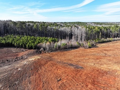 Prime Real Estate Opportunity! 14.96 Acres on Hwy 246 North - photo 6