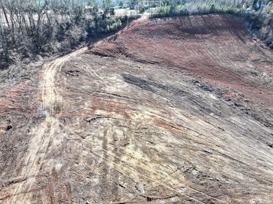 Prime Real Estate Opportunity! 14.96 Acres on Hwy 246 North - photo 7