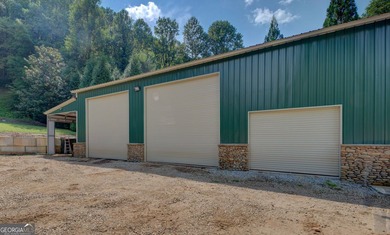 Your Private Fly-in Mountain Sanctuary in Rabun County Nestled - photo 22