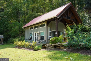 Your Private Fly-in Mountain Sanctuary in Rabun County Nestled - photo 23