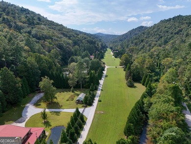 Your Private Fly-in Mountain Sanctuary in Rabun County Nestled - photo 25