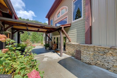 Your Private Fly-in Mountain Sanctuary in Rabun County Nestled - photo 28
