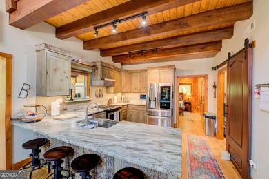 Your Private Fly-in Mountain Sanctuary in Rabun County Nestled - photo 35