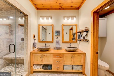 Your Private Fly-in Mountain Sanctuary in Rabun County Nestled - photo 41