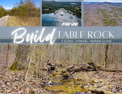 Lake Acreage For Sale in Lampe, Missouri