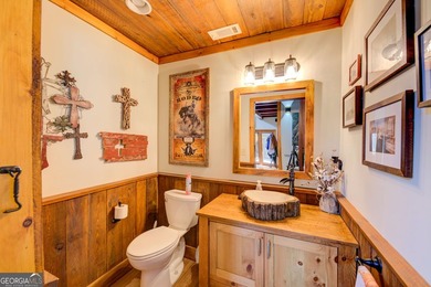 Your Private Fly-in Mountain Sanctuary in Rabun County Nestled - photo 43