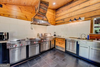 Your Private Fly-in Mountain Sanctuary in Rabun County Nestled - photo 45