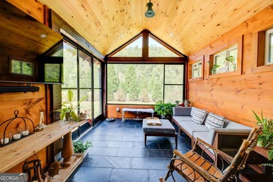 Your Private Fly-in Mountain Sanctuary in Rabun County Nestled - photo 46
