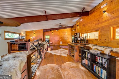 Your Private Fly-in Mountain Sanctuary in Rabun County Nestled - photo 50
