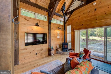 Your Private Fly-in Mountain Sanctuary in Rabun County Nestled - photo 59