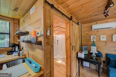 Your Private Fly-in Mountain Sanctuary in Rabun County Nestled - photo 60