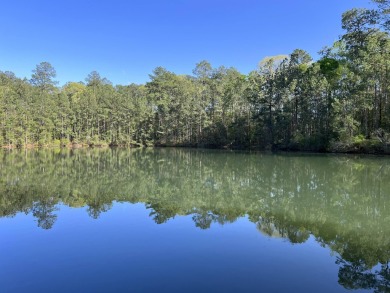 Lake Lot For Sale in Lumberton, Mississippi
