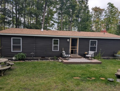 Lake Home For Sale in Atlanta, Michigan
