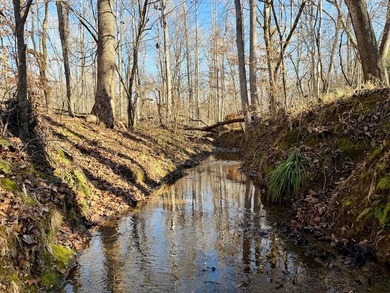 (private lake, pond, coastal) Acreage For Sale in Laurens South Carolina