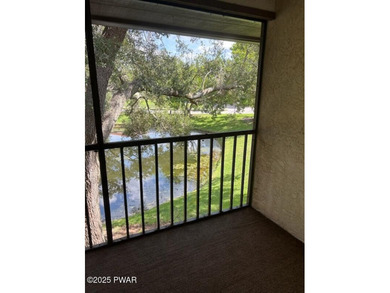 2611 Hammock Ct, Clearwater, FL 33761 in Hammock Pine - photo 12