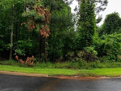Tucked into the peaceful foothills of Oconee County, this - photo 2