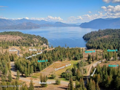 Become part of the exclusive, low-density, gated waterfront - photo 18