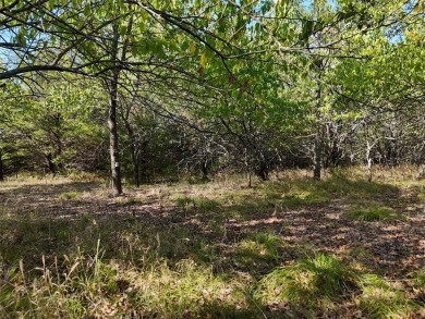 Bois D Arc Lake Acreage For Sale in Honey Grove Texas