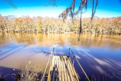 Caddo Lake Acreage For Sale in Karnack Texas