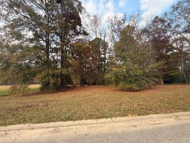 Rare opportunity to build in the desirable Windermere community - photo 2