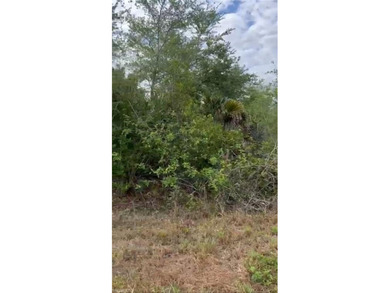 Lehigh Acres Area Lot For Sale in Lehigh Acres Florida