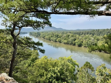 Lake Acreage For Sale in Melbourne, Arkansas