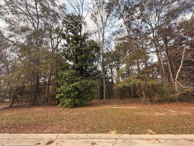 Rare opportunity to build in the desirable Windermere community - photo 3