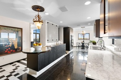 Rare Top-Floor Penthouse with unbelievable Views of Bde Maka Ska - photo 38