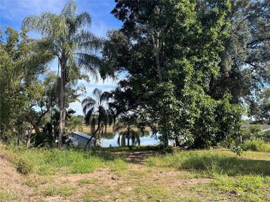 (private lake, pond, creek) Lot For Sale in Bartow Florida