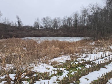 (private lake, pond, coastal) Acreage For Sale in Norwich New York
