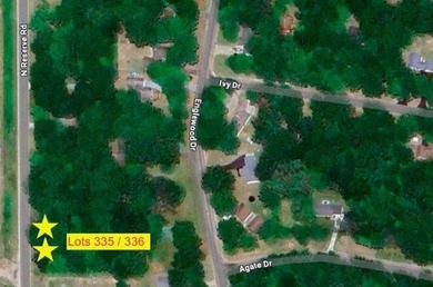 Higgins Lake Lot For Sale in Roscommon Michigan