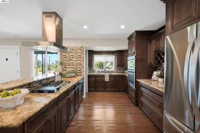 Elevated Bay views and a beautifully redesigned outdoor retreat - photo 4