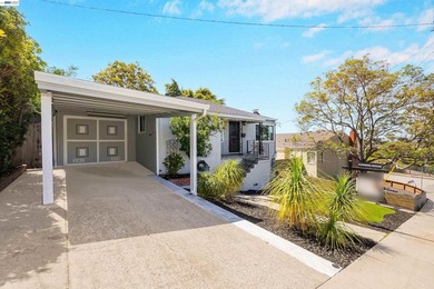Elevated Bay views and a beautifully redesigned outdoor retreat - photo 8