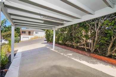 Elevated Bay views and a beautifully redesigned outdoor retreat - photo 10