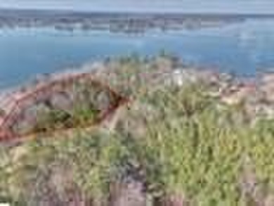 Lake Greenwood Lot For Sale in Chappells South Carolina