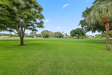 Elegantly situated in the prestigious Village of Golf, 5 Country - photo 49