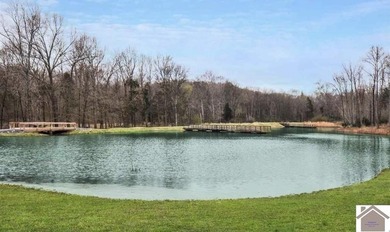 Build your dream home in the beautiful Western Shores - photo 8