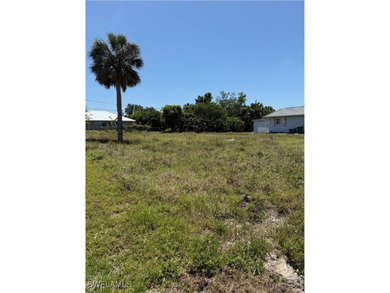 Port Charlotte Waterway Area Lot For Sale in Port Charlotte Florida