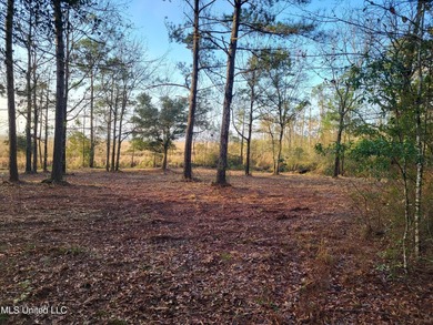 6+ Acres with Breathtaking Big Lake Views - Reduced Price! - photo 3